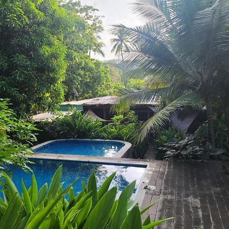 Auberge de jeunesse Hammock Plantation à El Zonte Extérieur photo